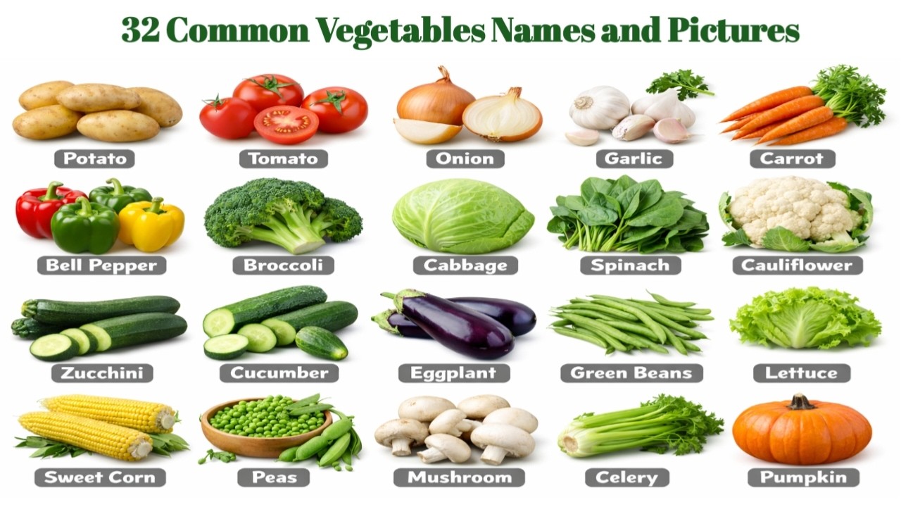 32 Common Vegetables Names You Need to Know | Learn 30 Common Vegetables Names With the Pictures
