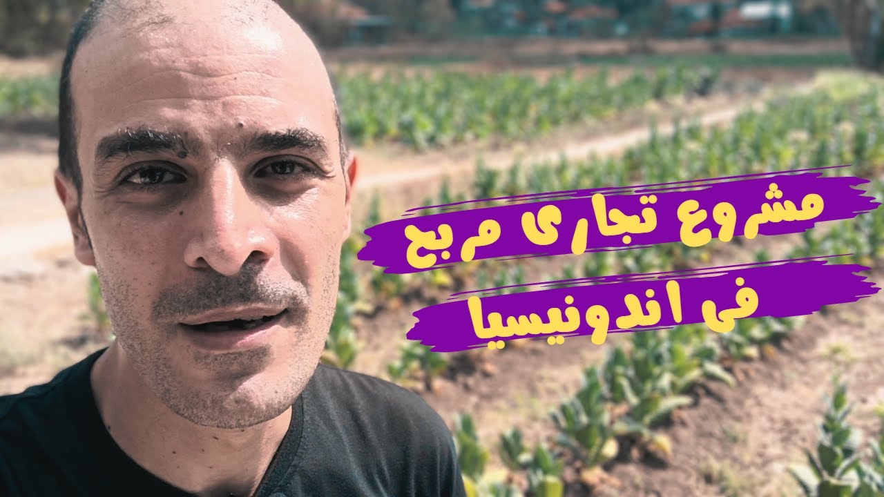 مشروع تجارى مربح و رخيص فى اندونيسيا
