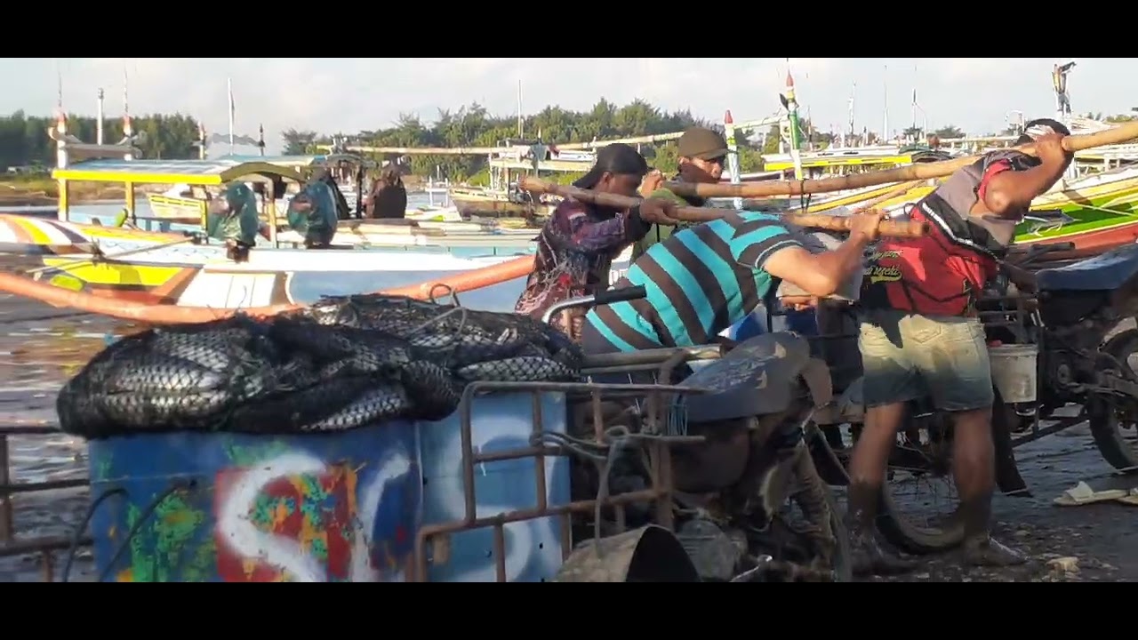 BERKAH !!  NELAYAN  PUGER 14/3/2026 @Perahu-puger 