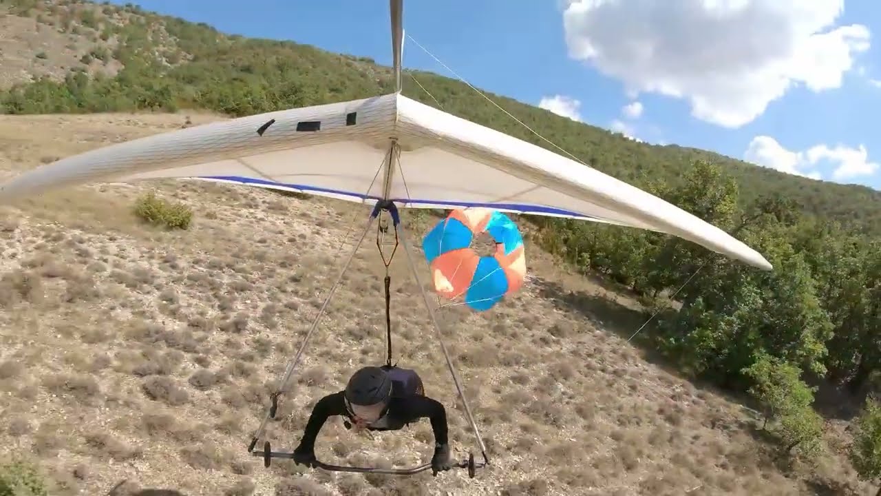 Borrowed Wings