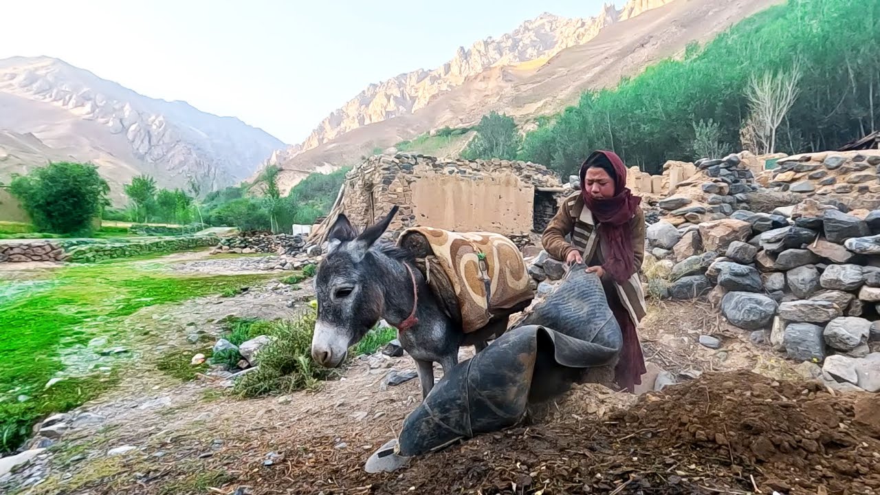 Far from Civilization: The Daily Life of Afghan Mountain Shepherds
