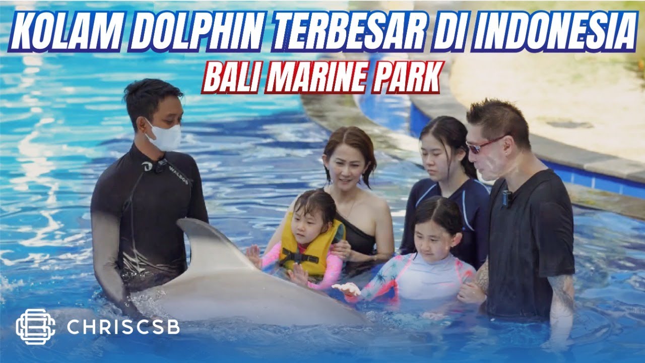 Interaksi Keluarga ke Kolam Dolphin Terbesar di Indonesia, Bali Marine Park (Konservasi & Edukasi)