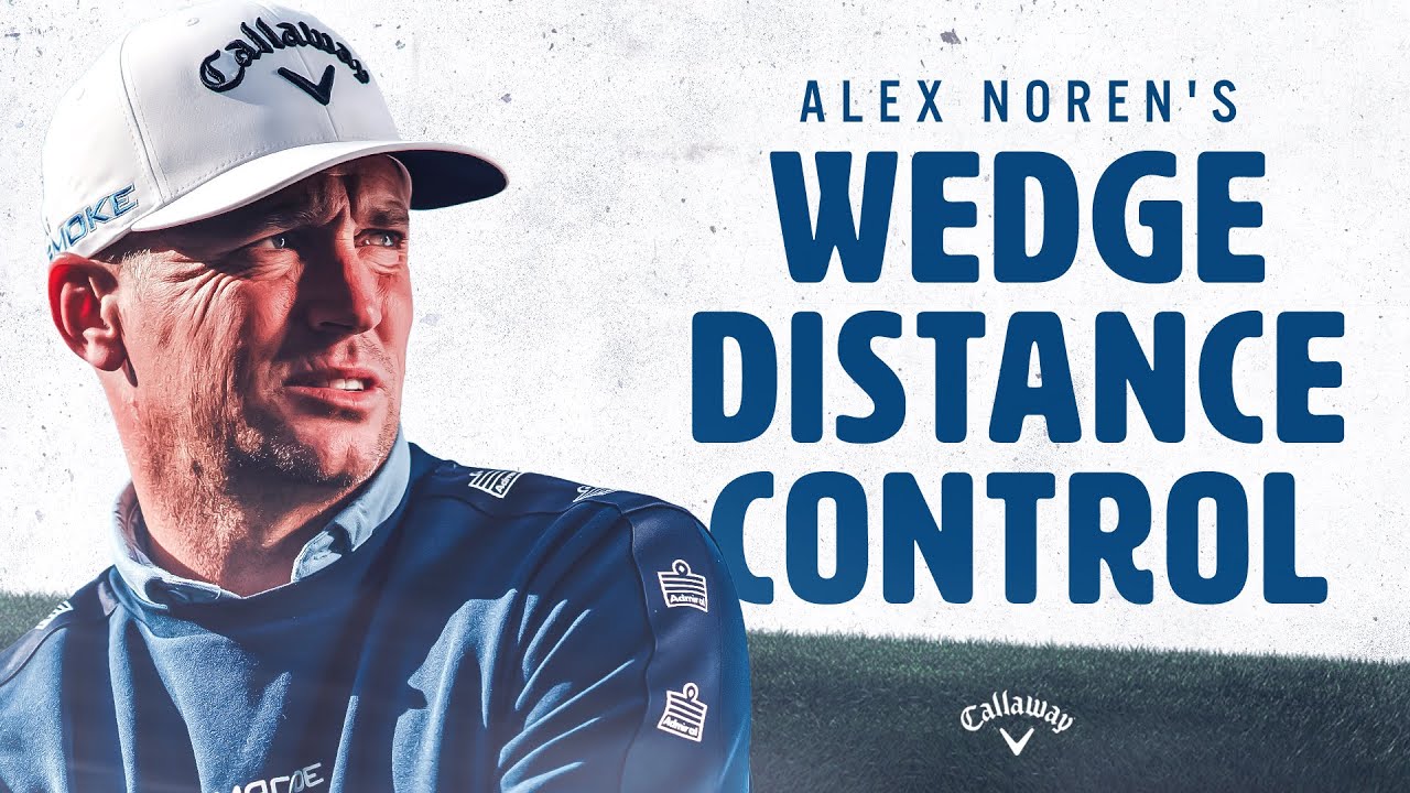 Noren Wedge "Distance Control"