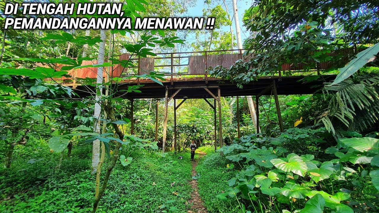 MENEMBUS HUTAN MENELUSURI REL KERETA API STASIUN BEDONO - STASIUN SECANG | PART 1