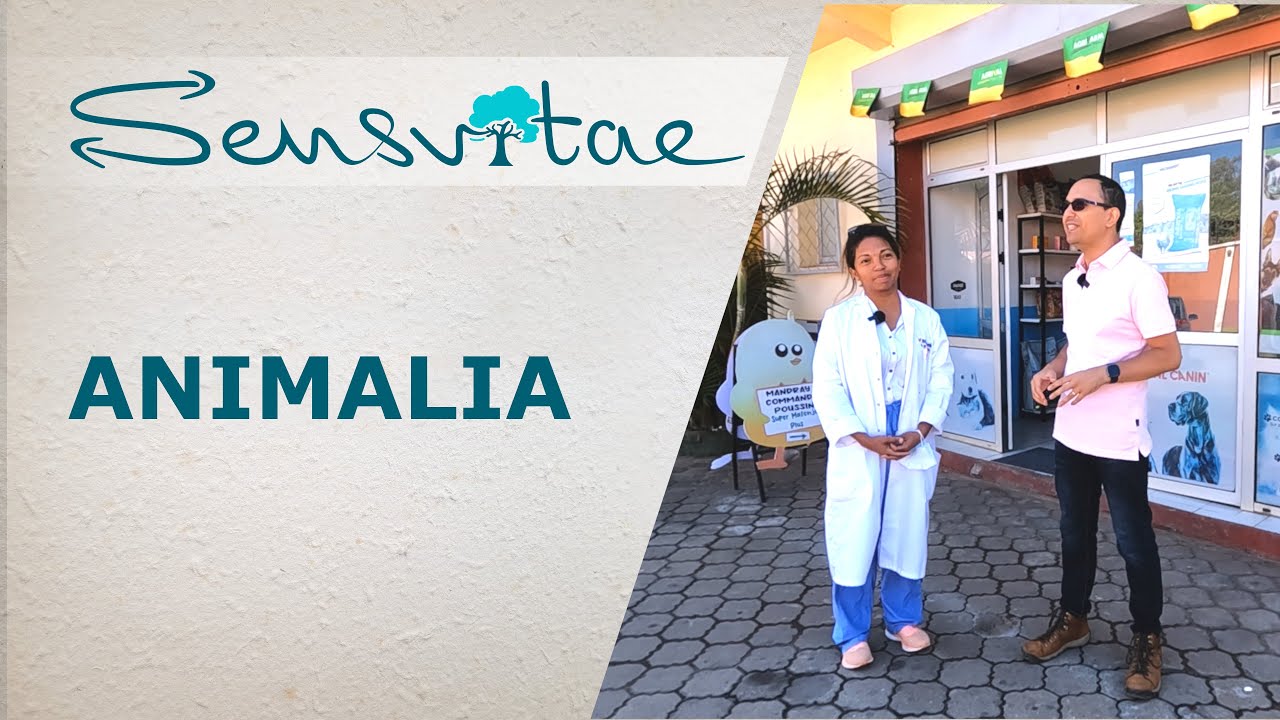 Animalia, un jeune cabinet vétérinaire plein d'avenir à Antananarivo !