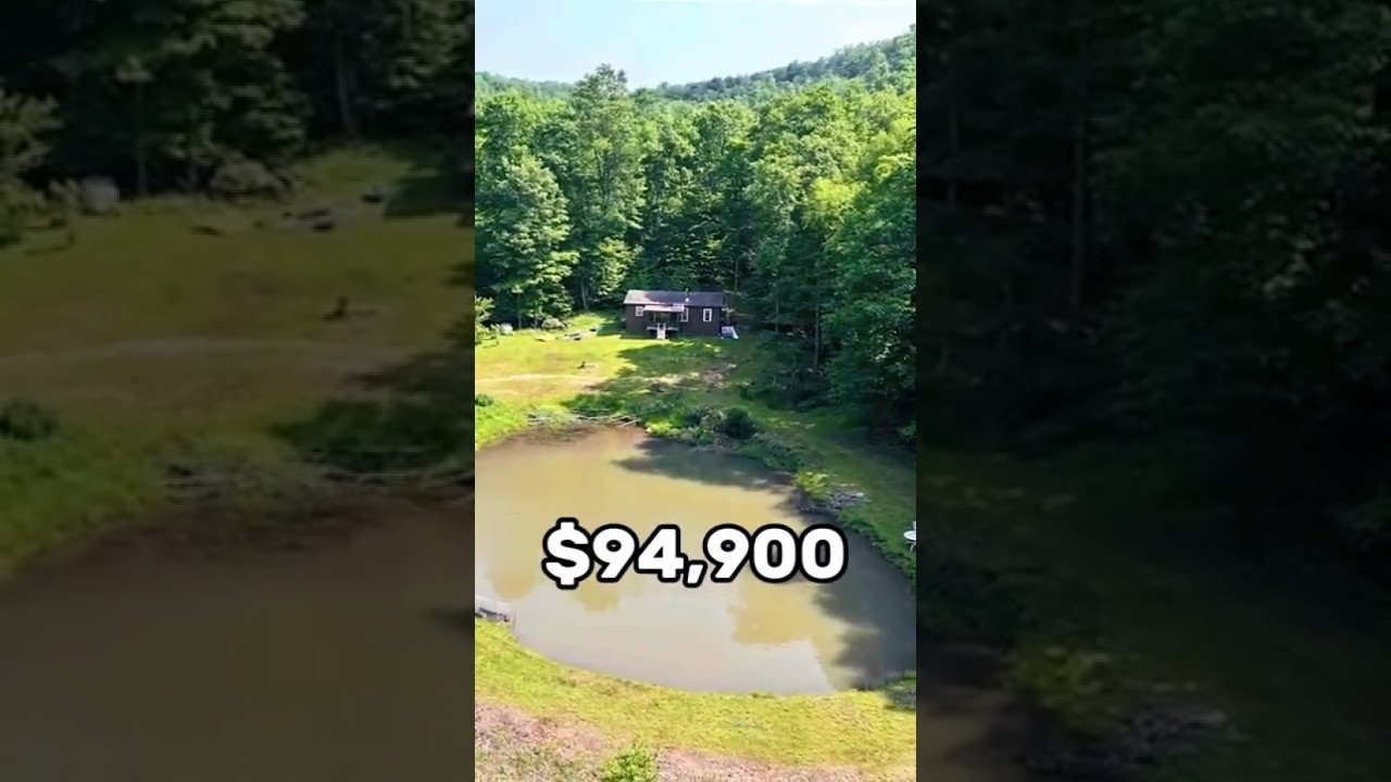 Off-Grid Cabin with a POND on 30 Acres &ndash; Only $94K!