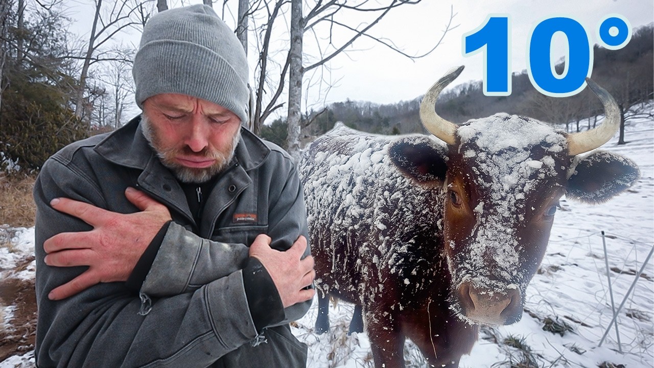 10 Mistakes Homesteaders Make (In The Winter)