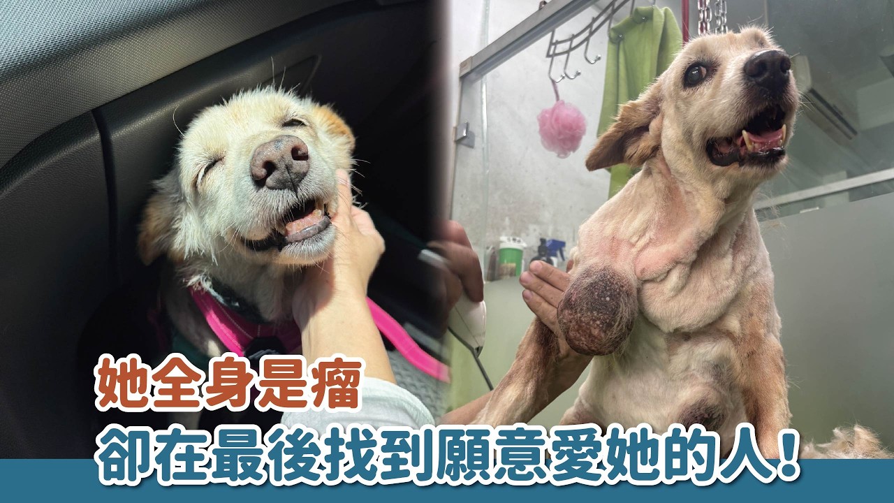 她全身是瘤卻找到願意愛她的人了！