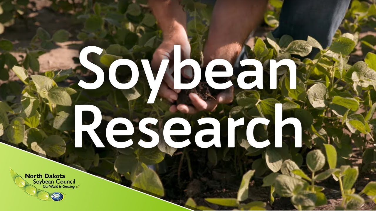 Soybean Research Videos Commercial