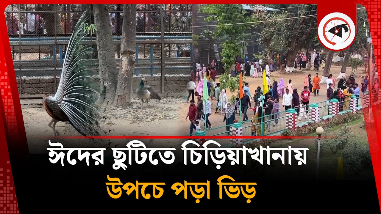 ঈদের ছুটিতে চিড়িয়াখানায় উপচে পড়া ভিড় | Eid Vacation | Zoo | Kalbela