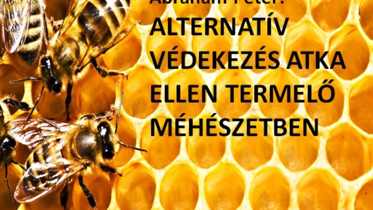 Alternatív védekezés atka ellen termelő méhészetben