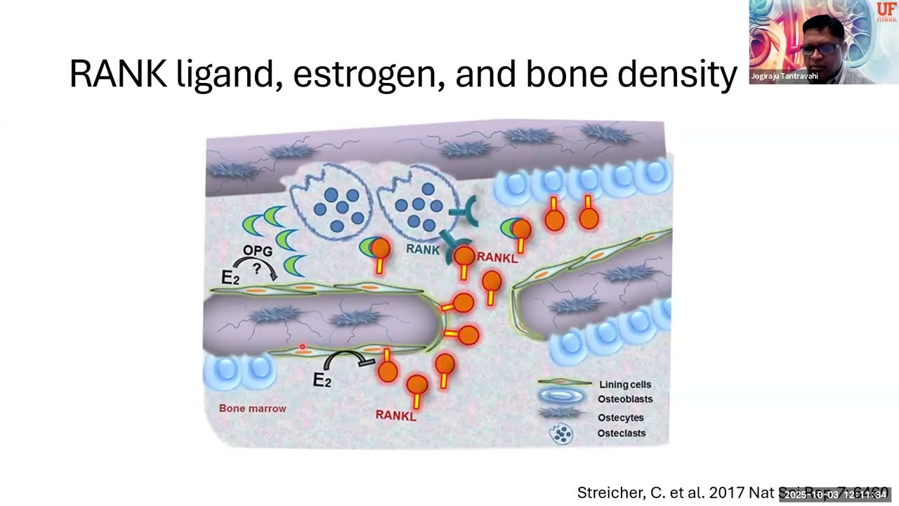 Renal Grand Rounds Lecture- Jogiraju Tantravahi, MD- 10-3-2025