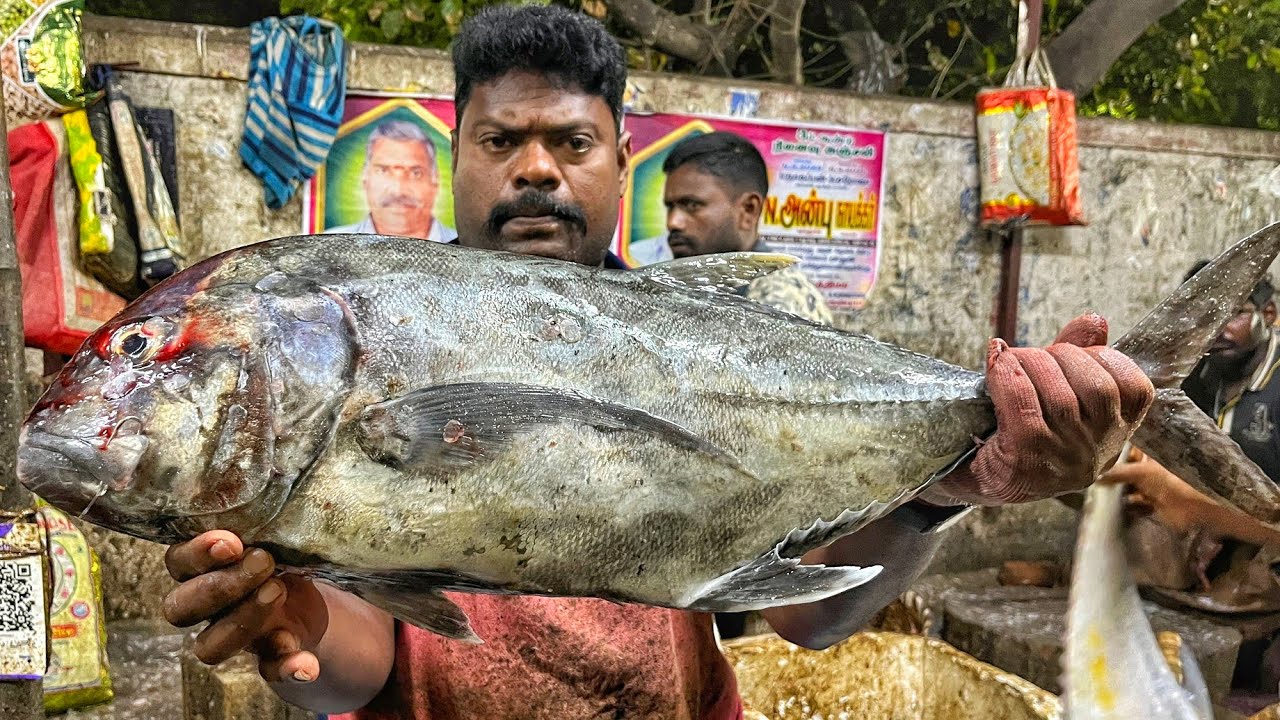 KASIMEDU 🔥 SPEED SELVAM | BIG TRAVELLY FISH CUTTING VIDEO | 4K VIDEO | KM FISH CUTTING