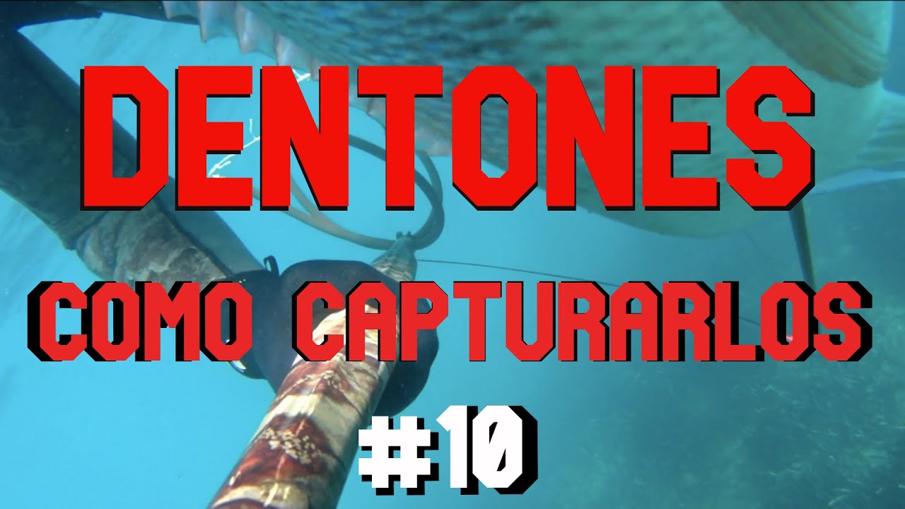 &iquest;COMO ENCONTRAR DENTONES? | PESCA SUBMARINA a POCO FONDO #10| -DENTEX DENTEX-