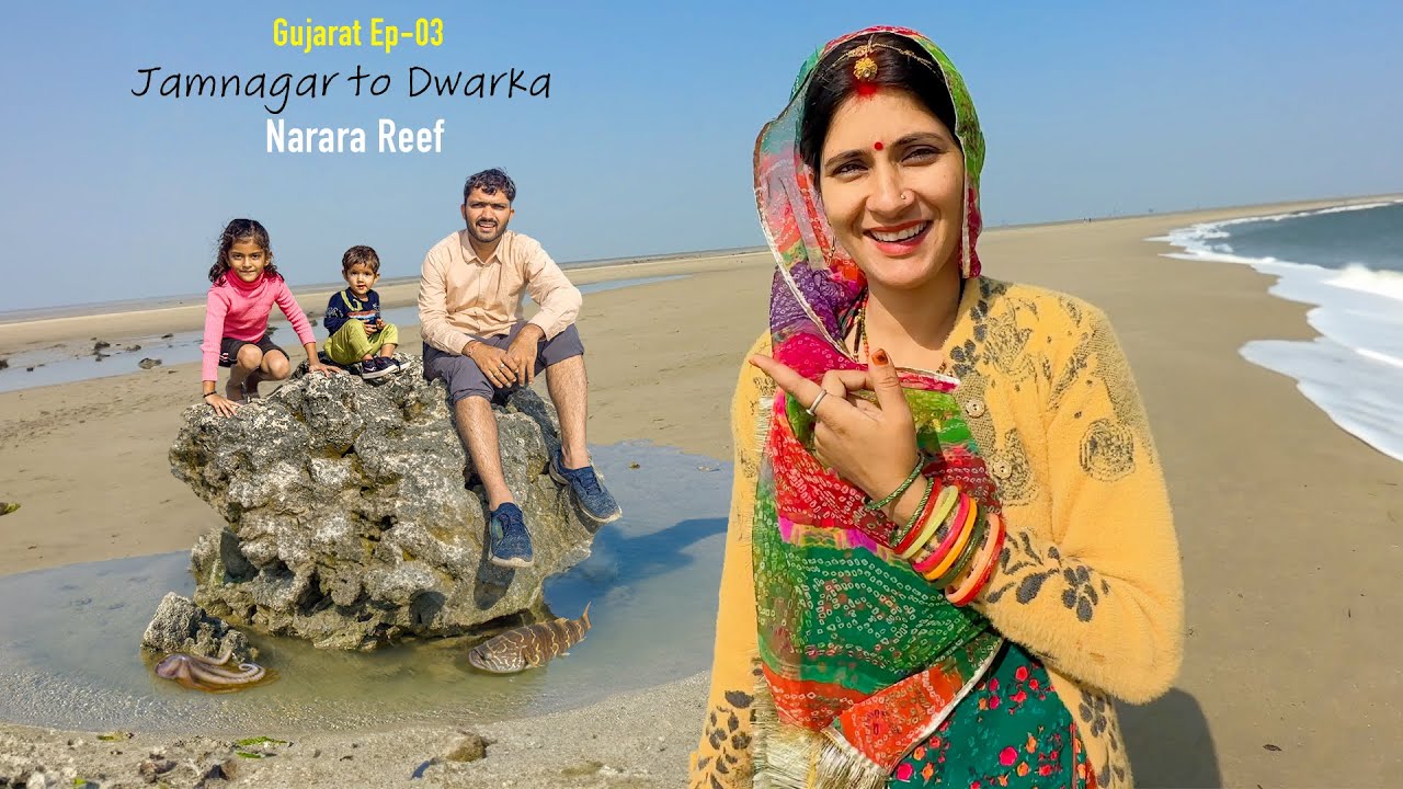 Gujarat Ep. 03 Jamnagar to Dwarka via Narara Reef, Bechtel Beach - गुजरात यात्रा ❤️ Fish, octopus