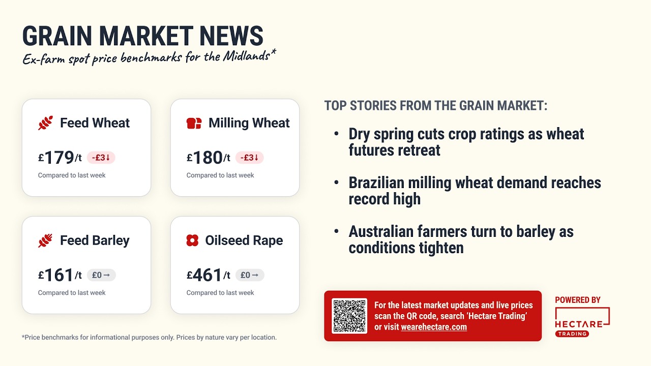 Grain Market Update (5 June 2026)
