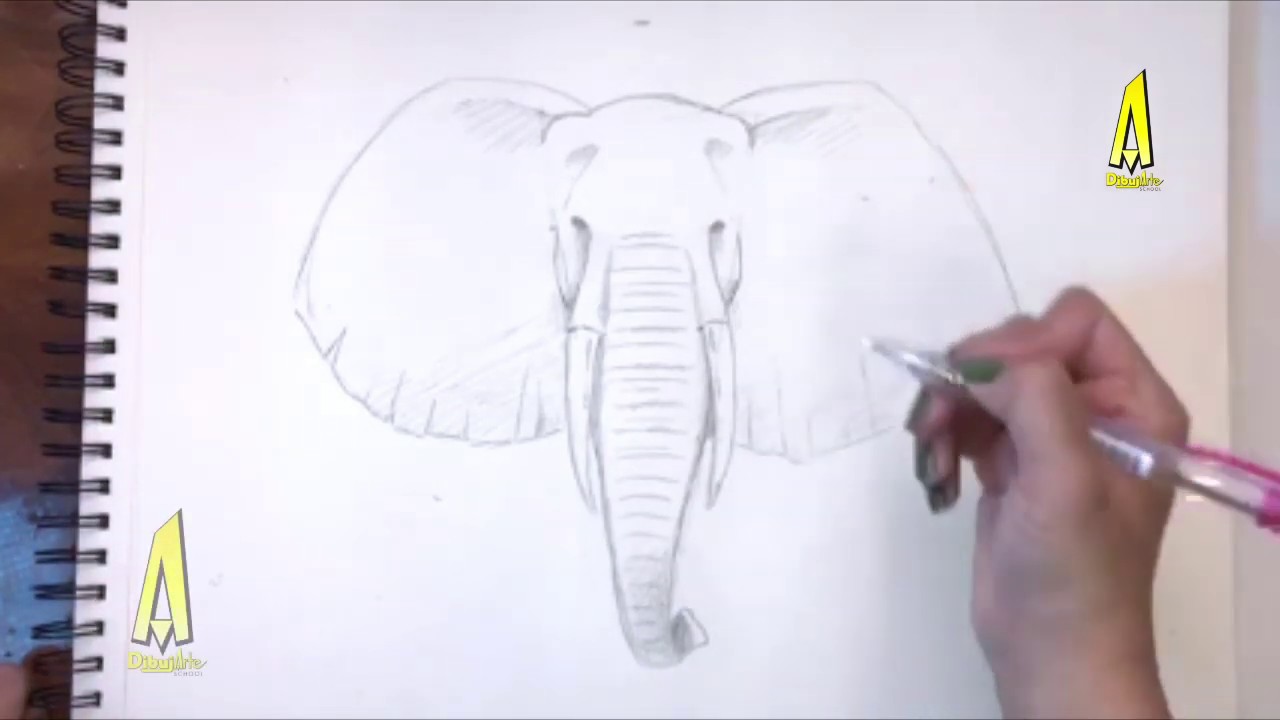 Tips de Dibujo:  Cabeza Del Elefante Africano