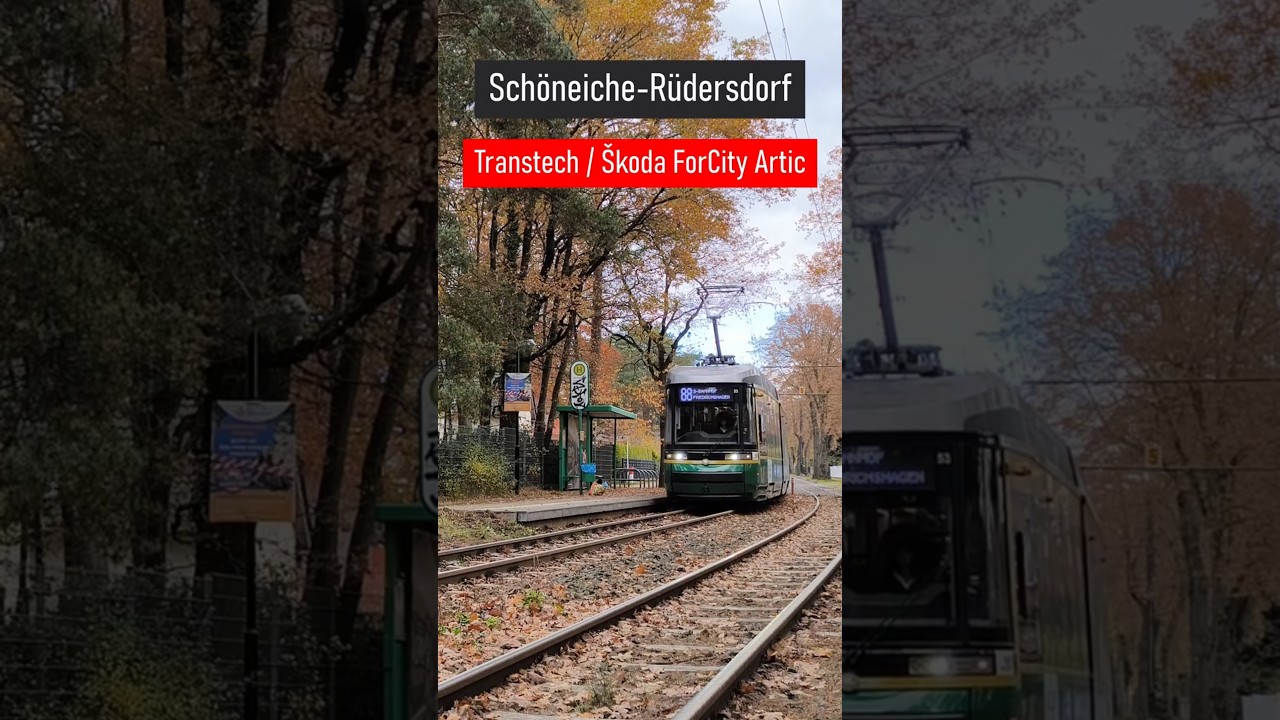 🇩🇪🚋 Transtech / &Scaron;koda ForCity Artic in Sch&ouml;neiche-R&uuml;dersdorf #tram #autumn #shorts
