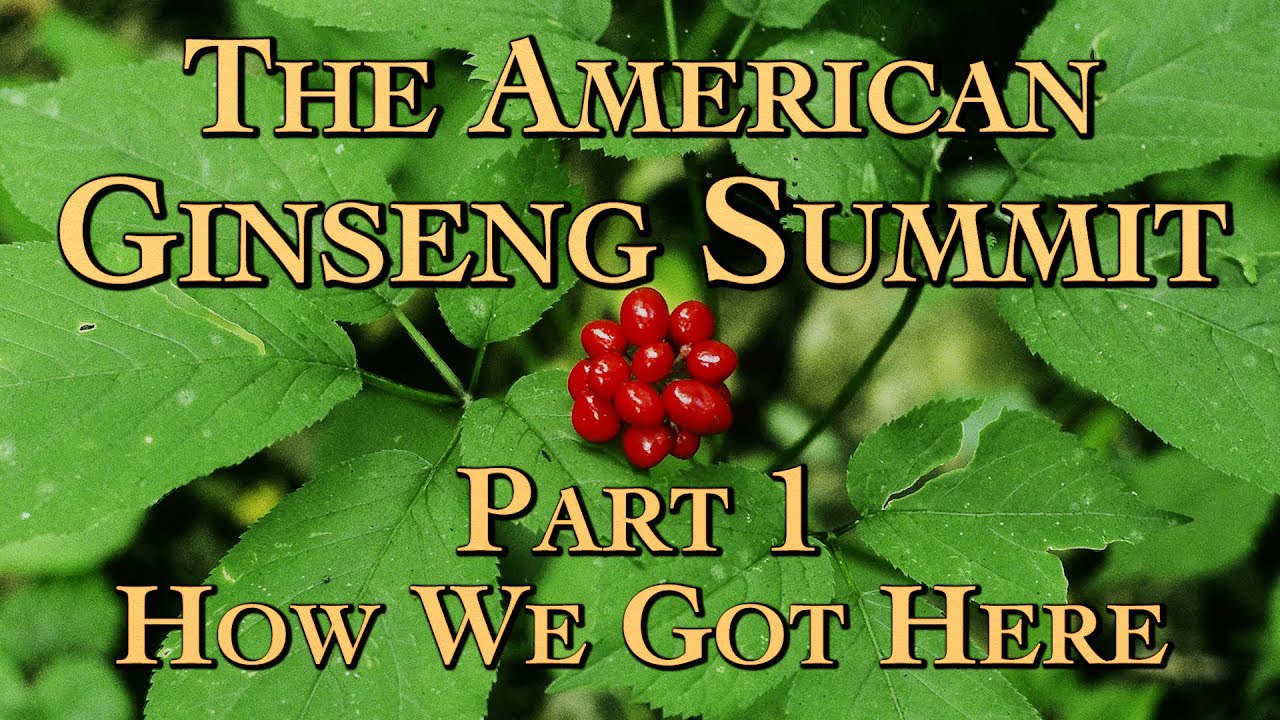 The American Ginseng Summit Part 1 How We Got Here