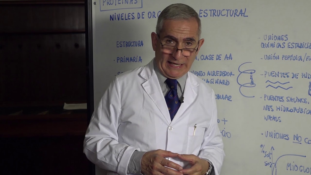 PROTEINAS PARTE 2
