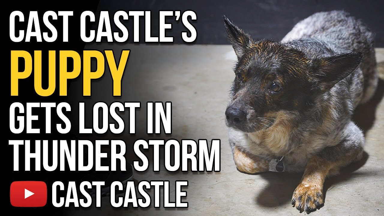 Cast Castle's Puppy Dog Gets Lost In A Thunderstorm & Opening Fan Mail