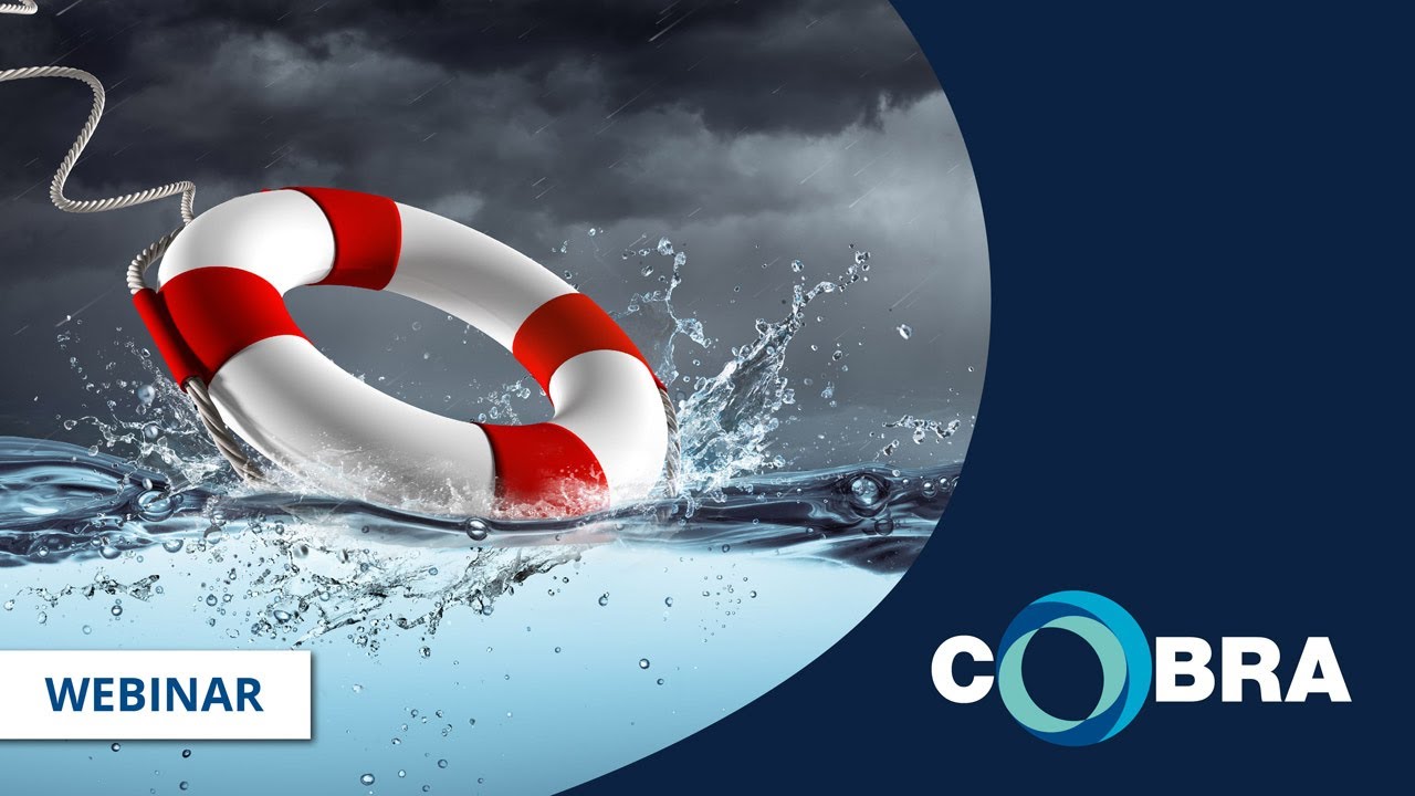 Business Rescue in a Nutshell 20200721
