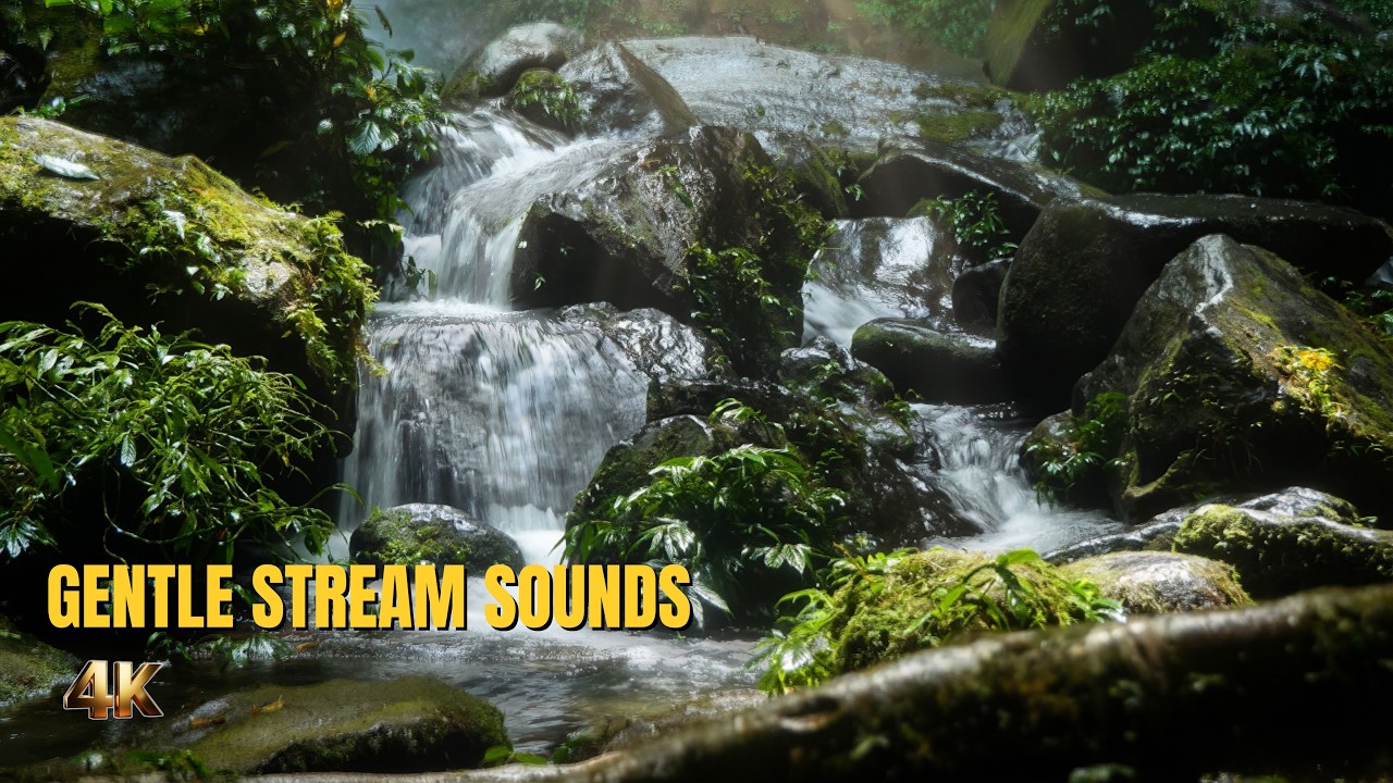 Calm River Flow in the Forest 🌿 | Relaxing Nature Sounds