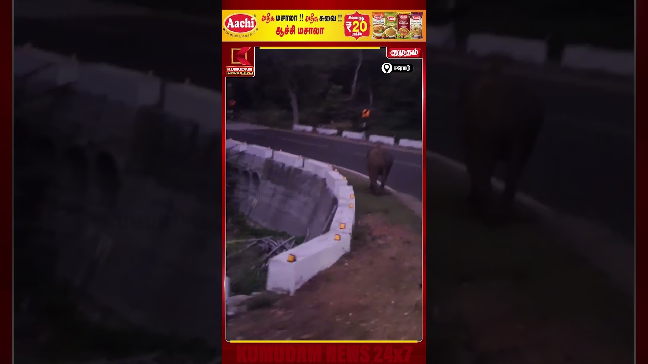 சாலையில் ஜாலியாக நடைபயிற்சி..! வாகனங்களை கண்டுகொள்ளாத காட்டு யானை | Erode Elephant | Kumudam News