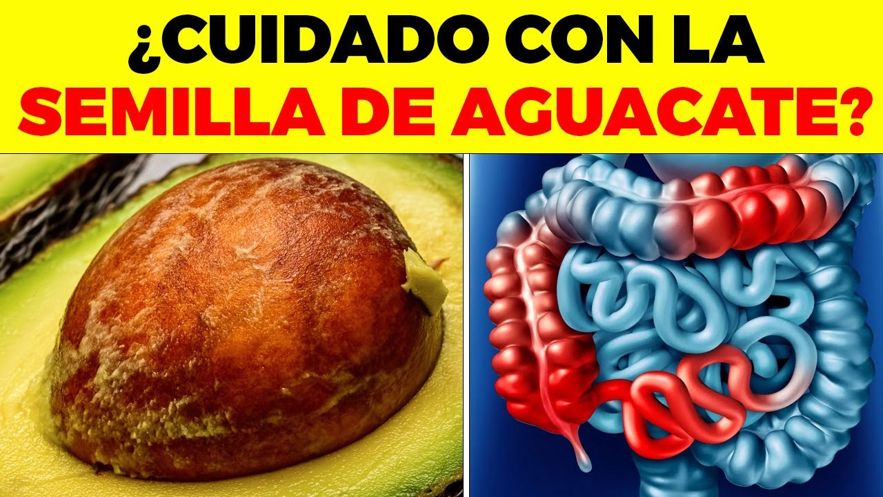 Esto le OCURRE a tu CUERPO si comes SEMILLA DEL AGUACATE todos los días!