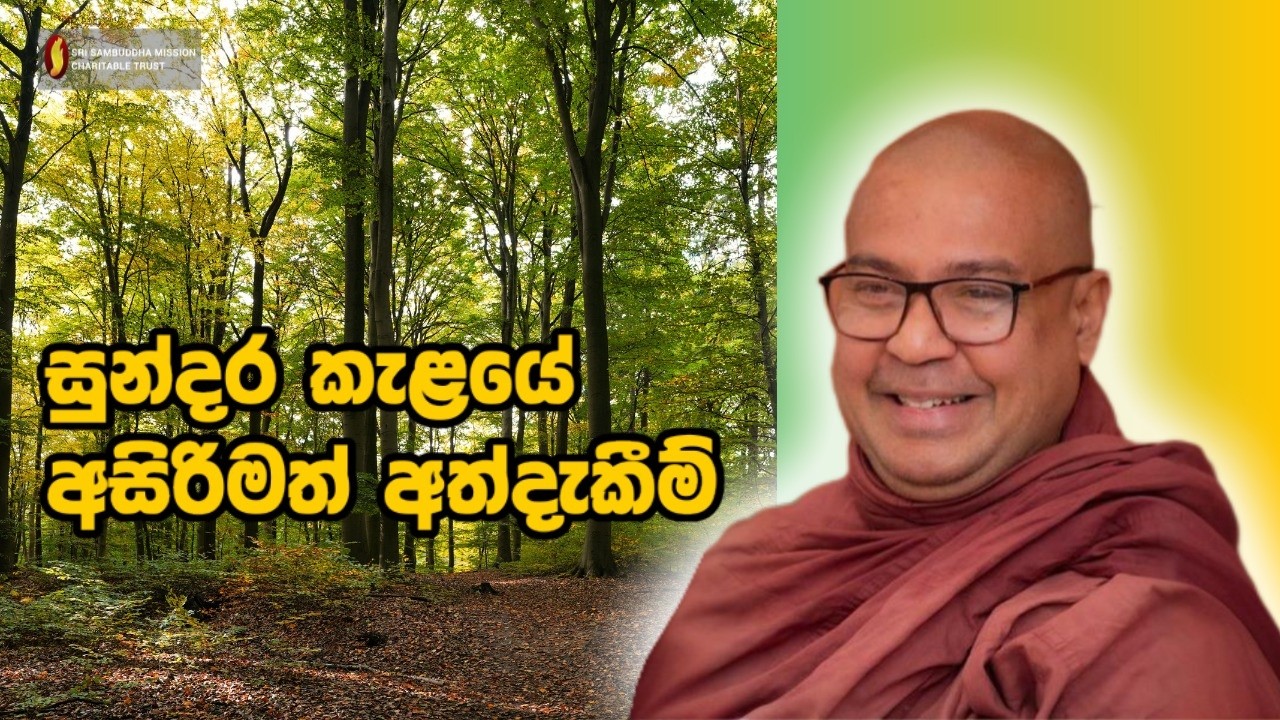 සුන්දර කැළයේ  අසිරිමත් අත්දැකීම්