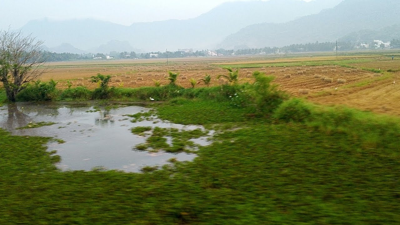 BIMBISARA SONG Tamil