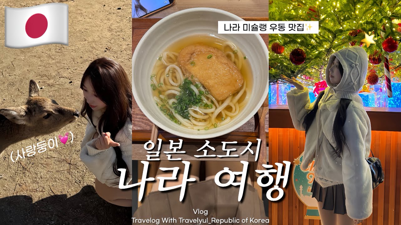 🇯🇵오사카여행ep.03 오사카 근교 소도시 나라사슴공원 당일치기(나라 미슐랭 맛집 추천✨) 현지 마트 쇼핑부터 덴노지 크리스마스 마켓 구경하기🎄