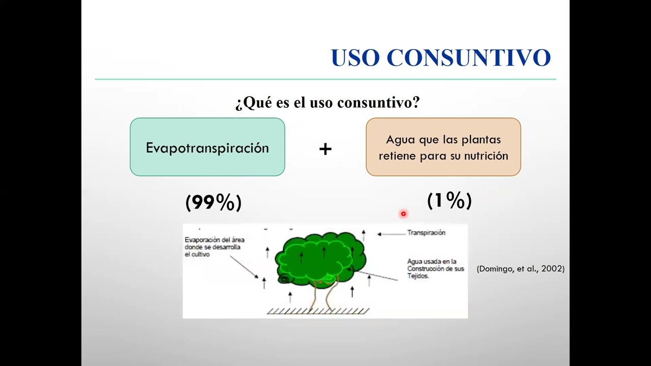 Necesidades hídricas de los cultivos (Unidad II)