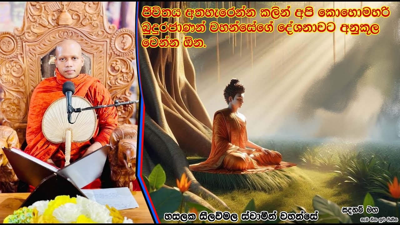 අපි කොහොමහරි බුදුරජාණන් වහන්සේගේ දේශනාවට අනුකූල වෙන්න ඕන.2197Ven Hasalaka Seelawimala Thero