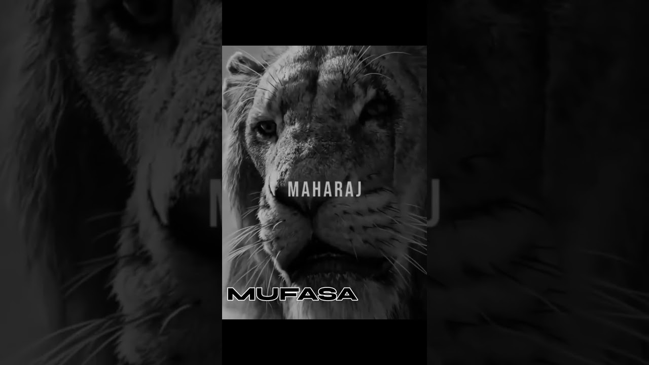 the lion king prequel: mufasa movie quick recap! disney,s epic story 