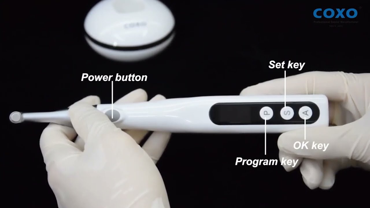 C-SMART MINI Wireless Endo Motors from COXO