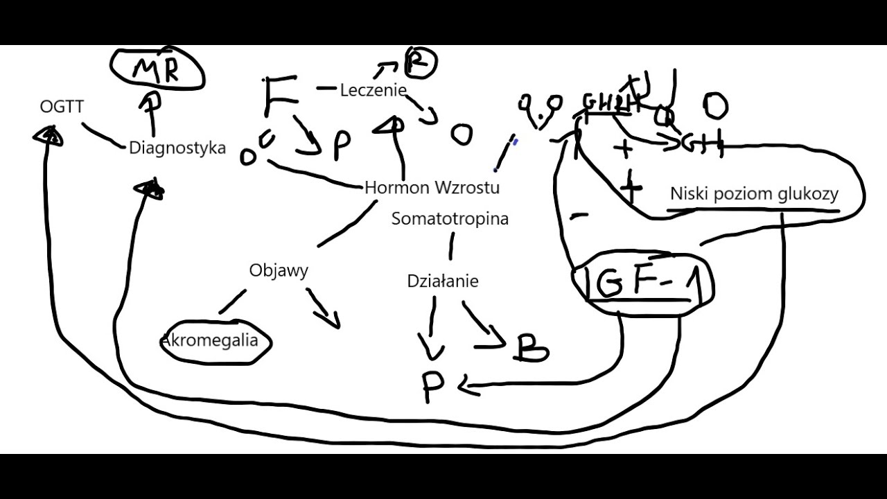 Hormon wzrostu: Akromegalia, Gigantyzm [W prosty sposób cz.2]