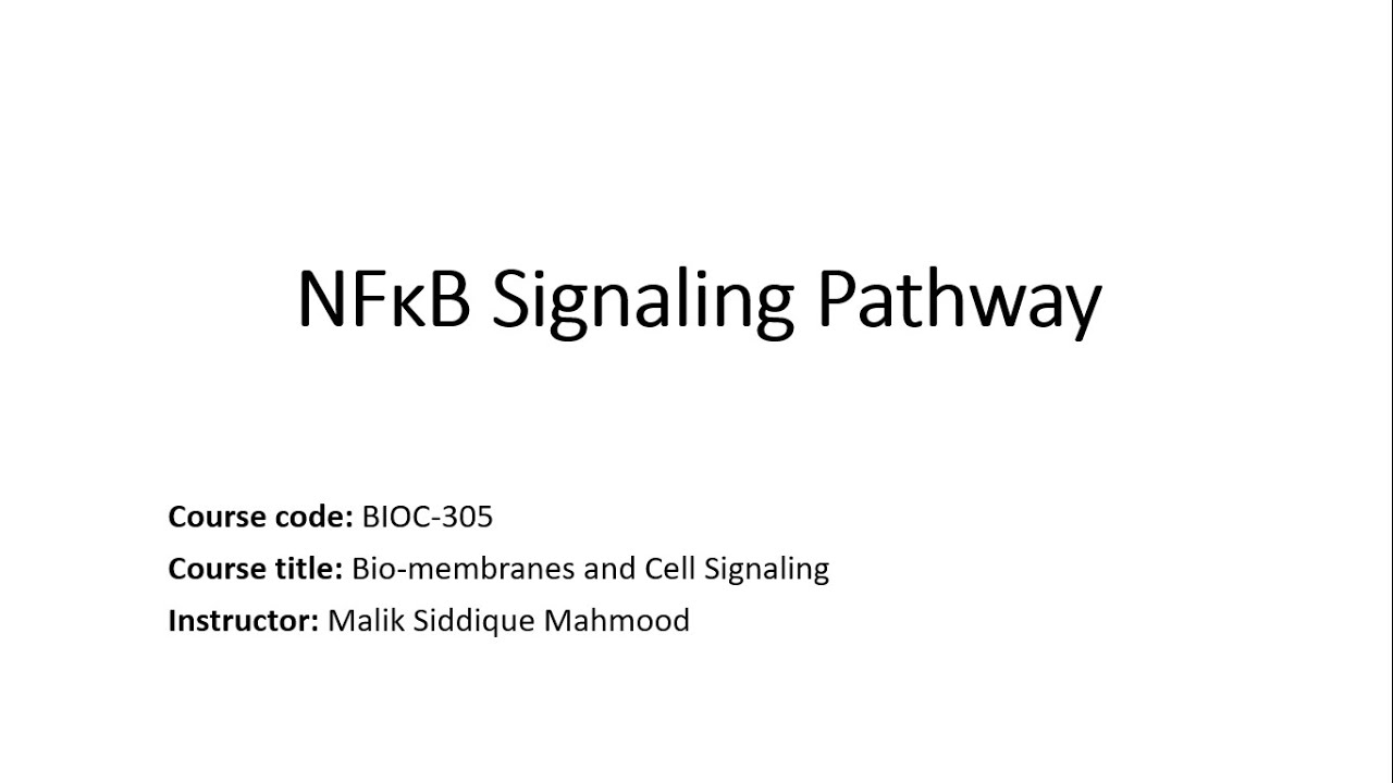 NFκB Signaling Pathway