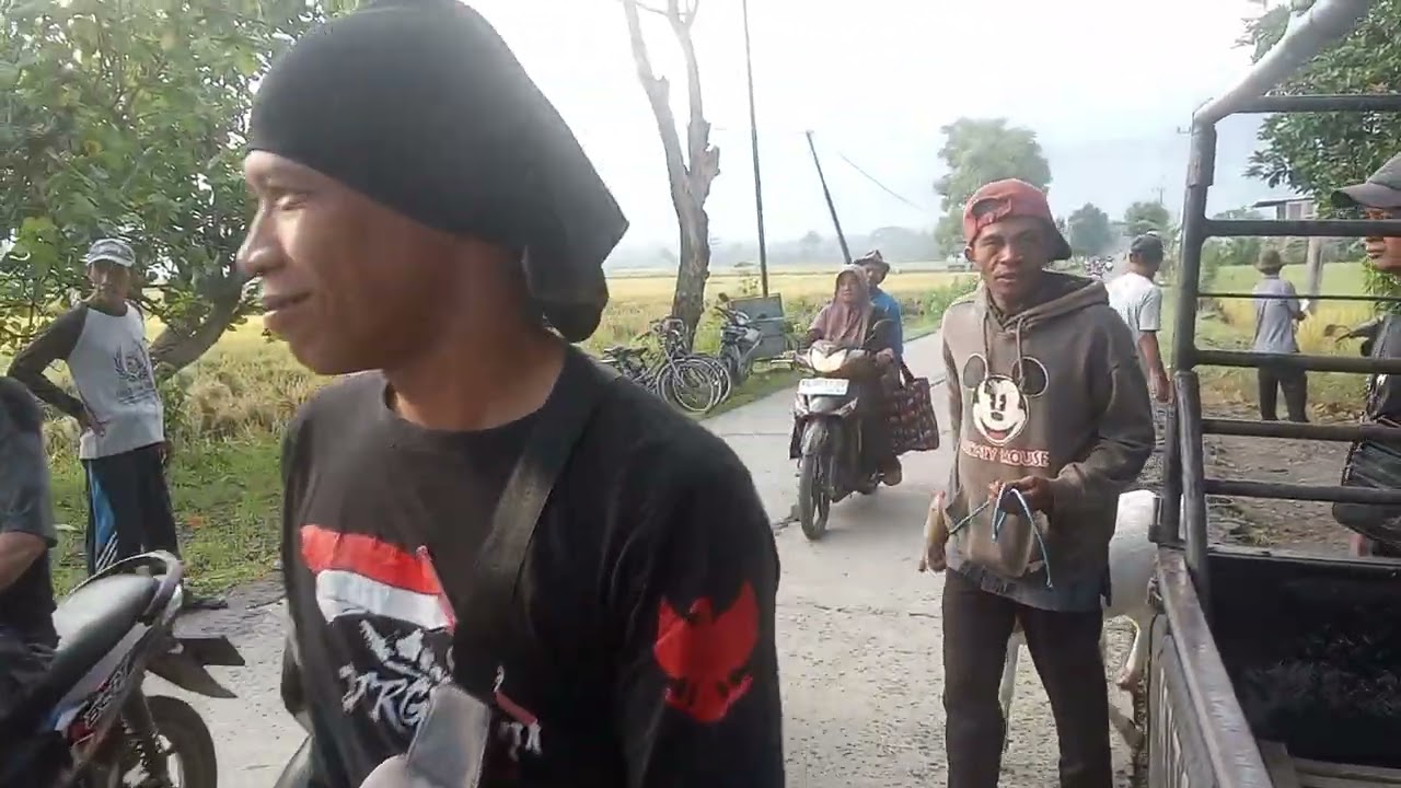 @stifend senger Chanel .Hari kedua puasa pasar wedus Tamansari udah mulai rame 