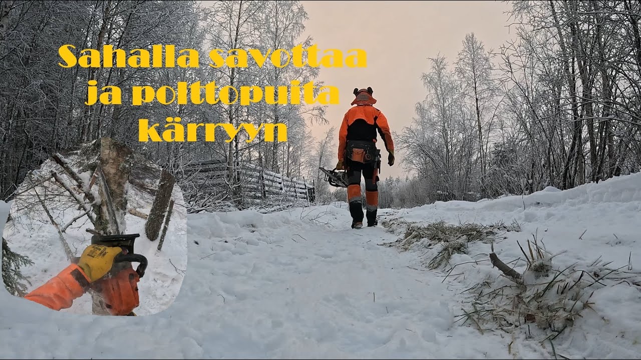 Moottorisahahommia ja polttopuukuorman tekoa | Jatketaan raaka-aineen hankintaa