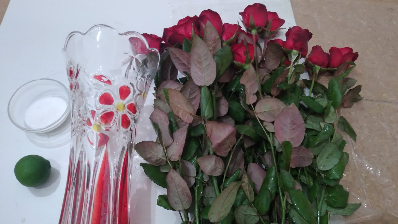 cách cắm hoa hồng không cần xốp TƯƠI LÂU được 15 ngày không héo.