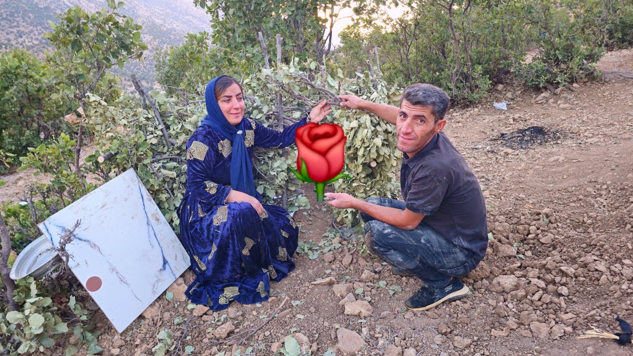 Taybeh & the Operator Build Their Dream Shelter 🏡