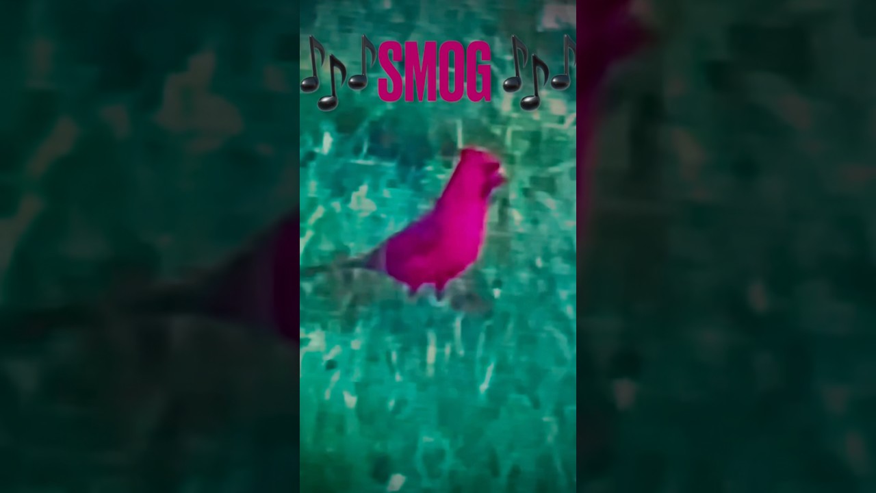 #music 🎤 SMOG 🎶 Red Bird 🎶 1997