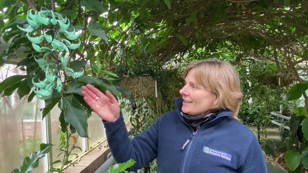 A behind the scene springtime exploration with Head of Horticulture, Sally Petitt