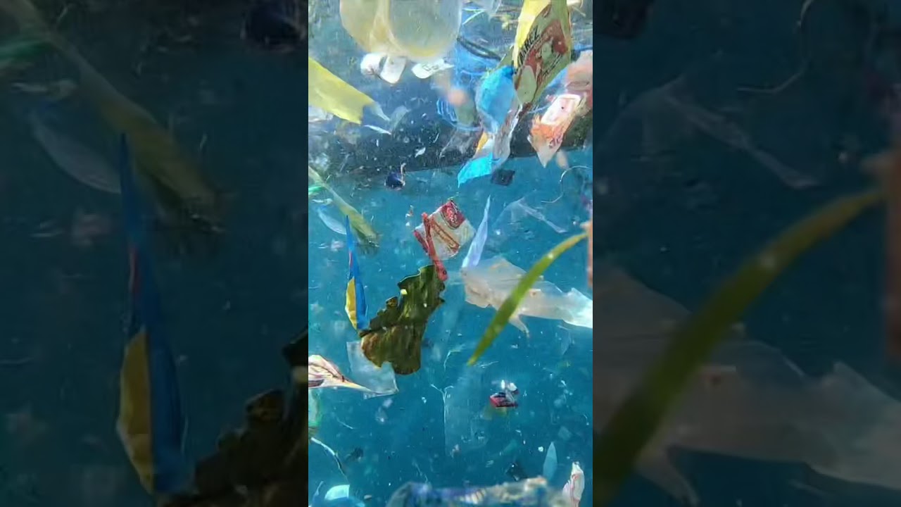 What&rsquo;s really under the sea - plastic waste