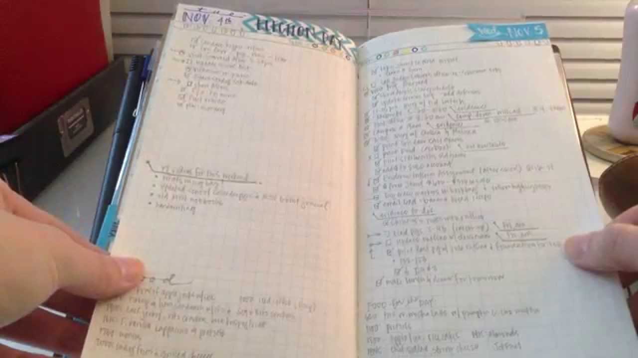 Filofax & Midori Travelers Notebook Setup: November 2014