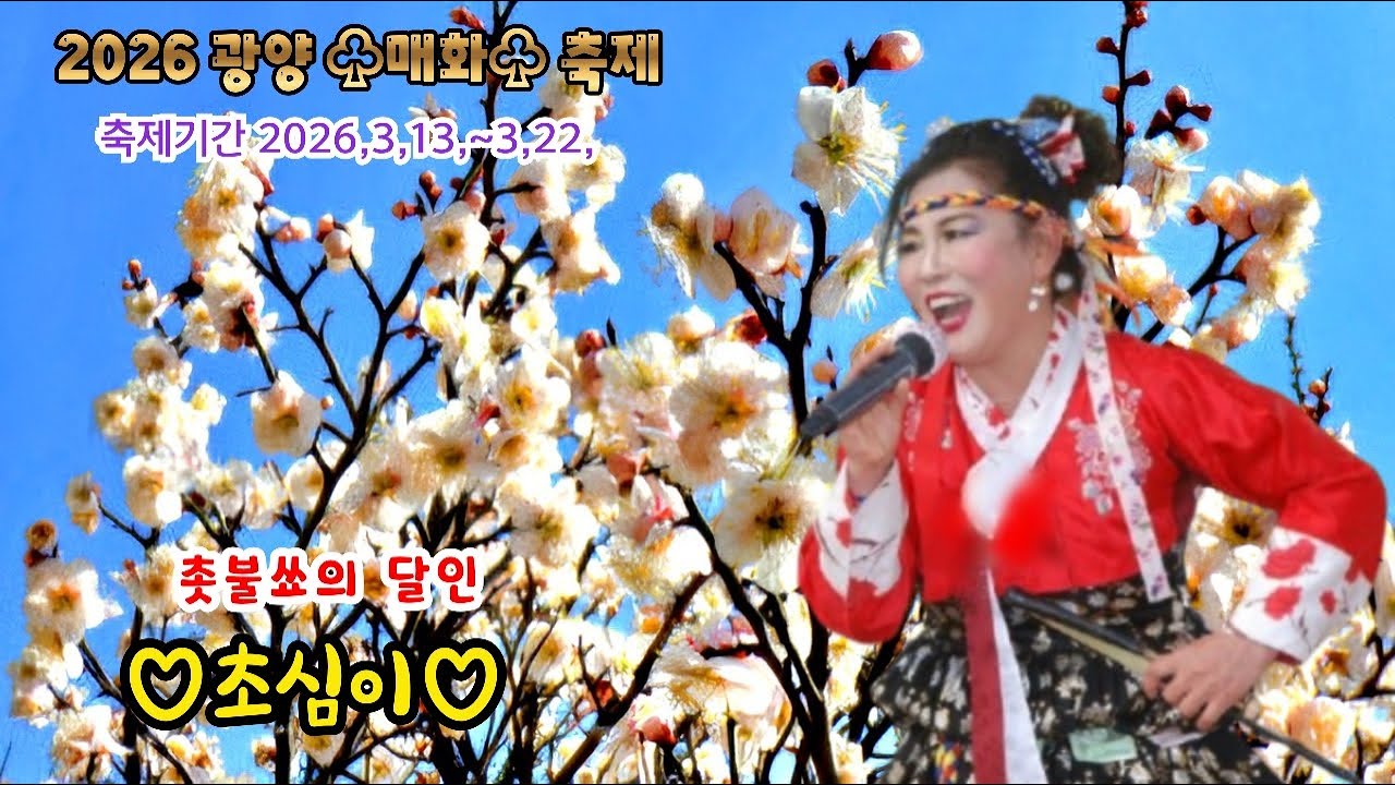 26년3월10일#광양매화축제~3월22일까지🙇‍♀️🙏
