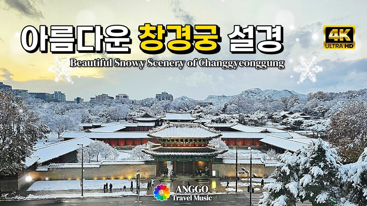 #4k  많은 눈꽃으로 새하얗게 쌓인 창경궁의 단풍 설경 #창경궁 #설경 #changgyeonggung