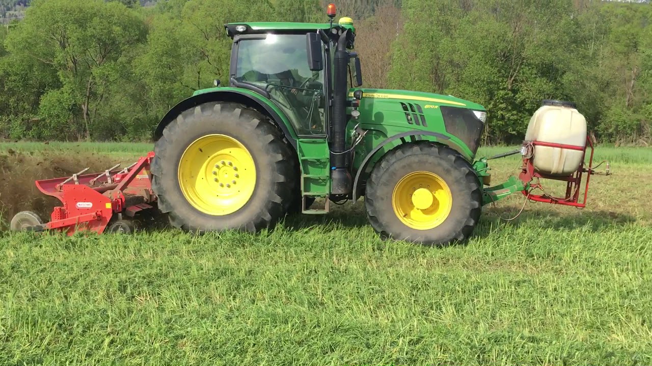 Wickroggen als Vorfrucht vor Mais - Flächenrotte mit EM