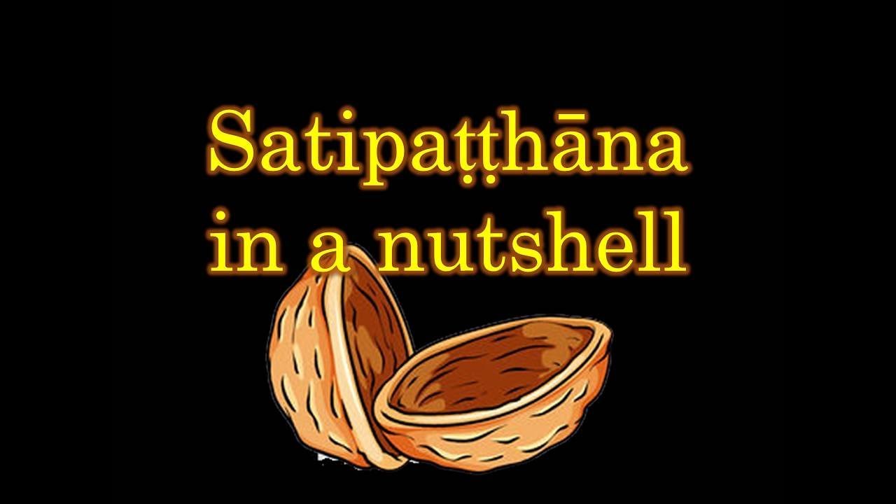 SATIPATTHANA IN A NUTSHELL with Bro. Billy Tan